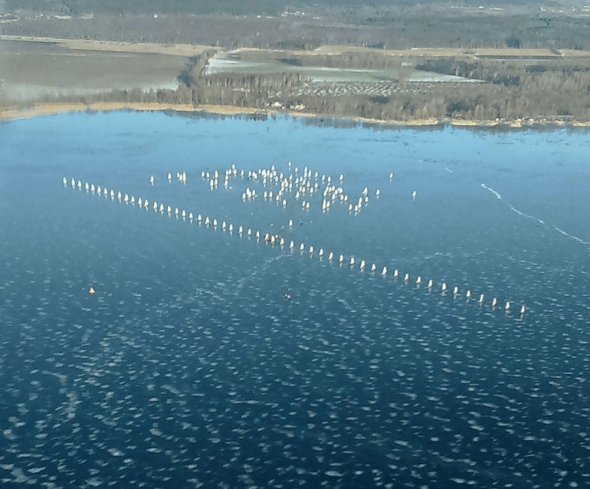 2016_DN_Worlds_start